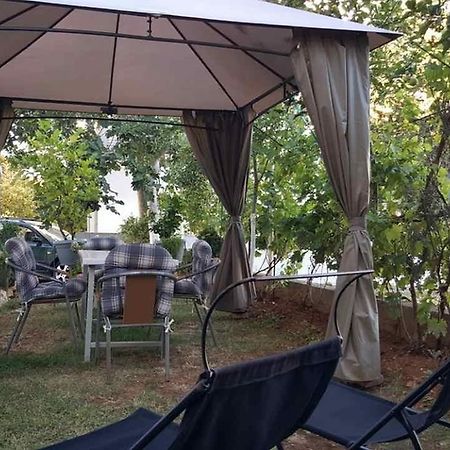 Apartment Sandra Zadar Zewnętrze zdjęcie